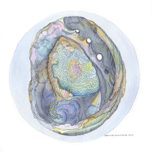 Abalone 1 Digital Fine Art Print